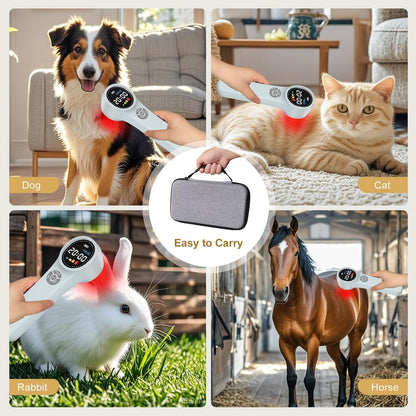 Infrared, Handheld Cold 𝐋ight - Pet Red Light 𝐓herapy Device