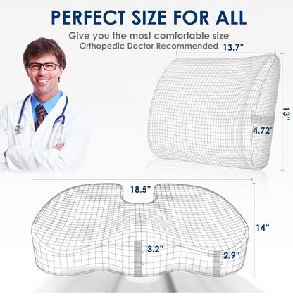 Information about Seat and Lumbar Support Cushion  
